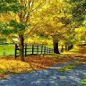 Meet your Posher, Susie